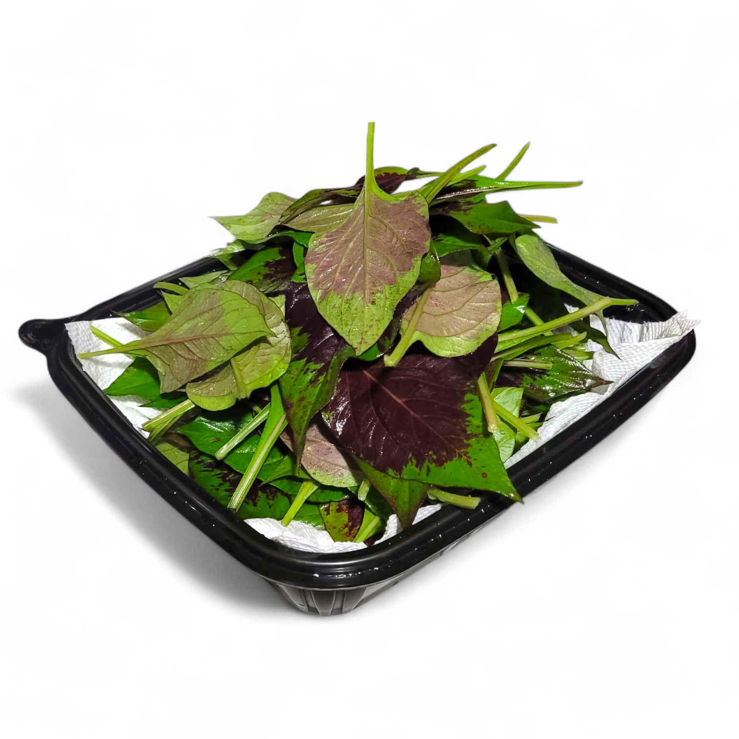 Lagos Spinach (Efo Shoko) - Celosia Argentea - Image 2