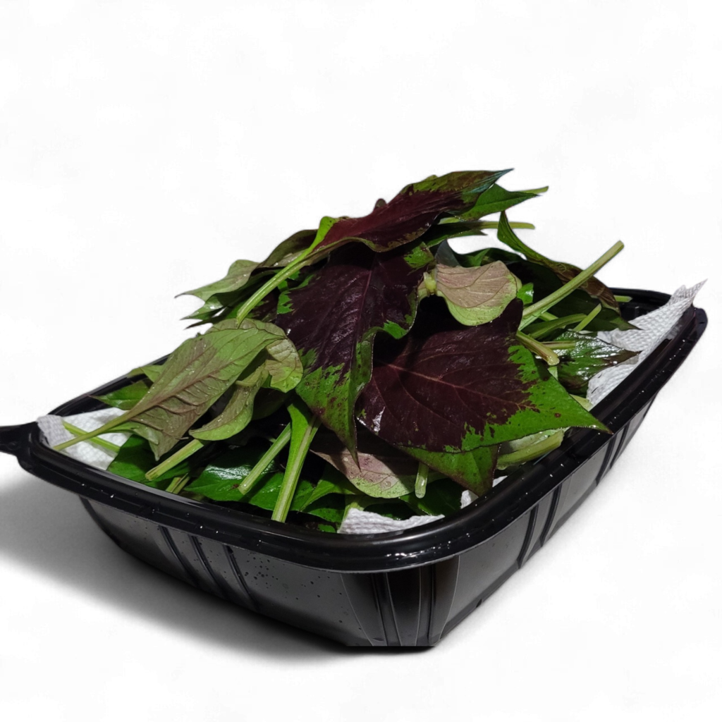 Lagos Spinach (Efo Shoko) - Celosia Argentea